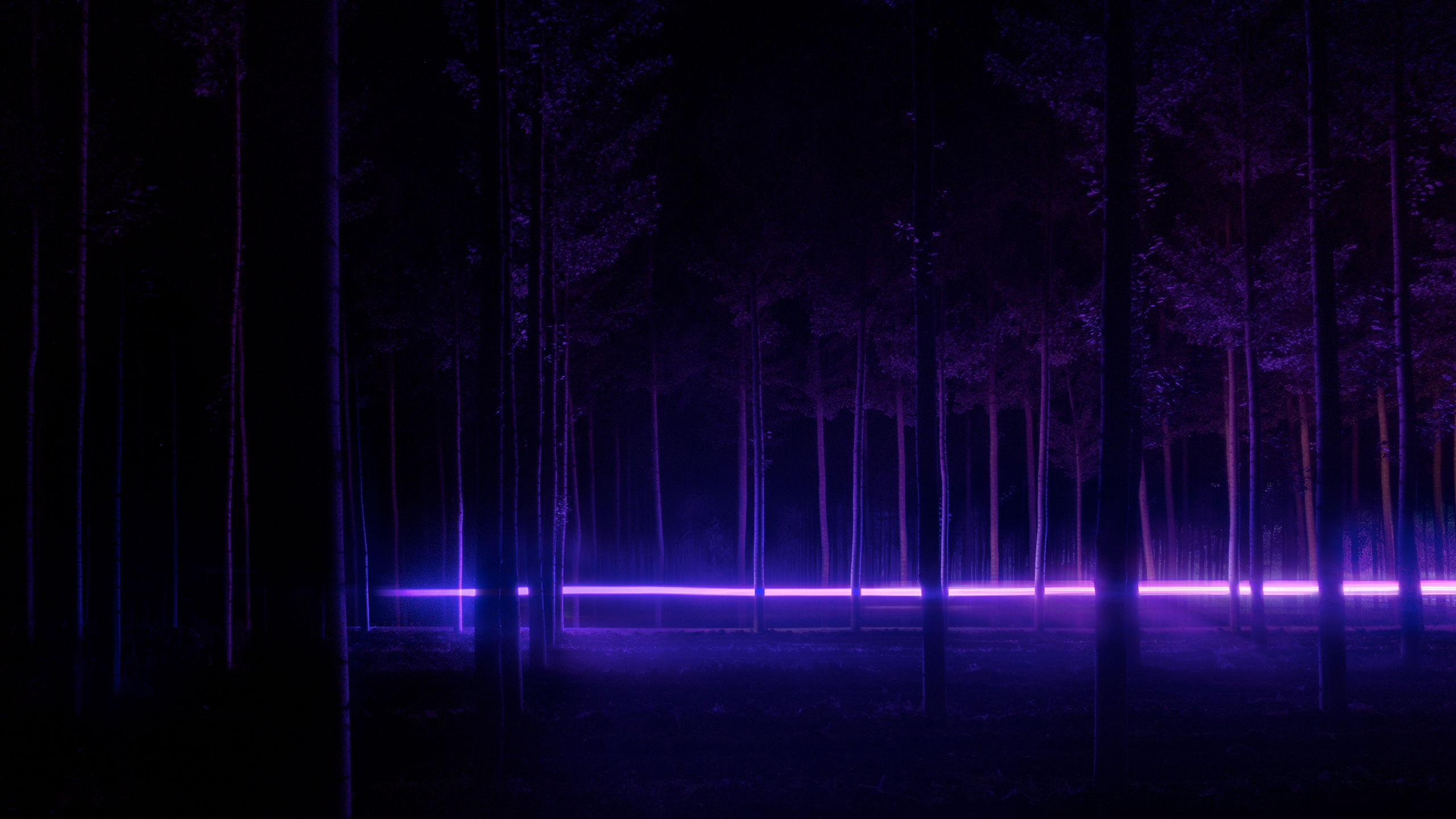 Neon effect shown in the forest 